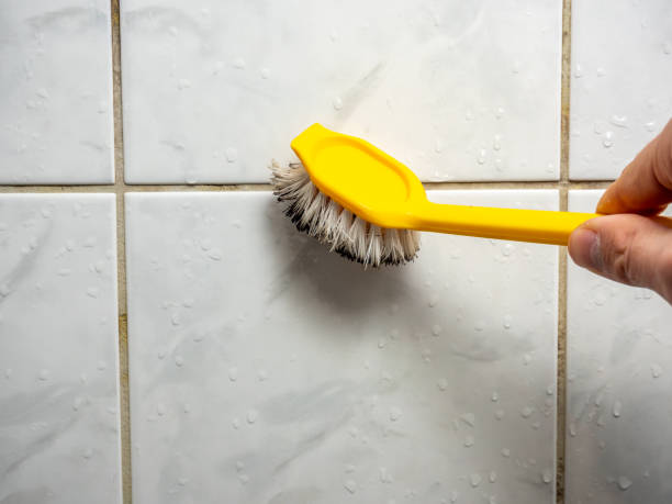  Taft Heights, CA Mold Removal Pros