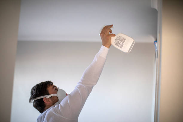 Best Mold Testing and Inspection Services in Taft Heights, CA