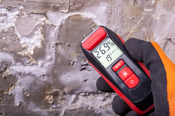 Best Preventive Mold Services in Taft Heights, CA