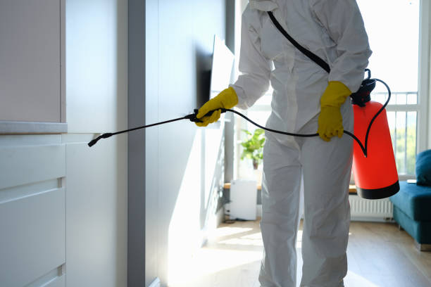 Best Black Mold Remediation in Taft Heights, CA